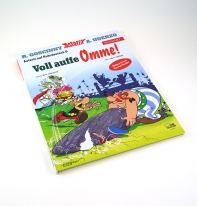 Asterix Zoff im Pott Sammelband Ulligen Mundart Ruhdeutsch